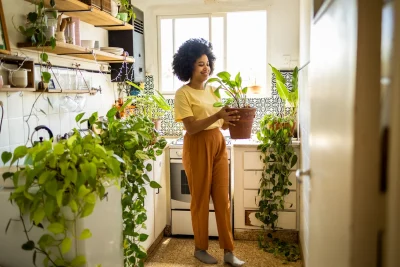 Jardinagem como hobby impulsiona floriculturas em São Paulo