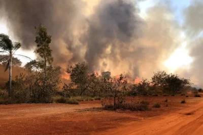 Veja como abrir aceiros e barrar o avanço de incêndios na propriedade rural