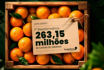 Primeira reestimativa da safra de laranja 2026/27 em SP e MG prevê produção de 263,15 milhões de caixas