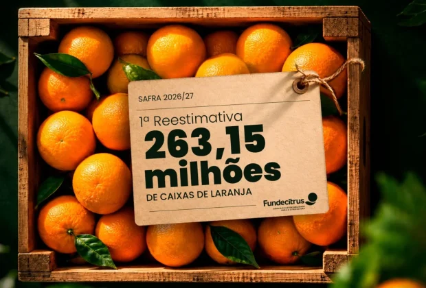Primeira reestimativa da safra de laranja 2026/27 em SP e MG prevê produção de 263,15 milhões de caixas