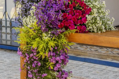 Crisântemos sem perfume conquistam novos mercados na decoração