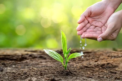 Mogi Guaçu realiza Semana do Meio Ambiente com ações educativas e sustentáveis