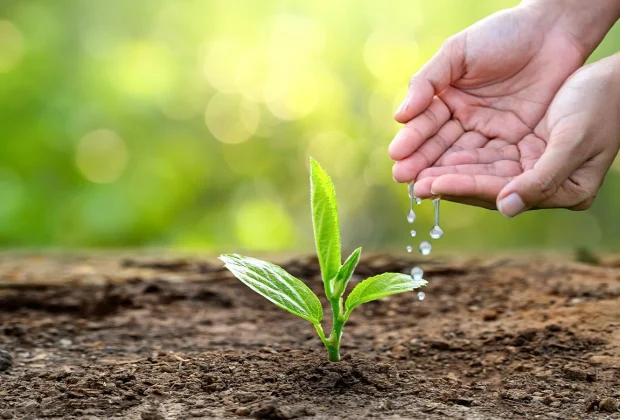 Mogi Guaçu realiza Semana do Meio Ambiente com ações educativas e sustentáveis
