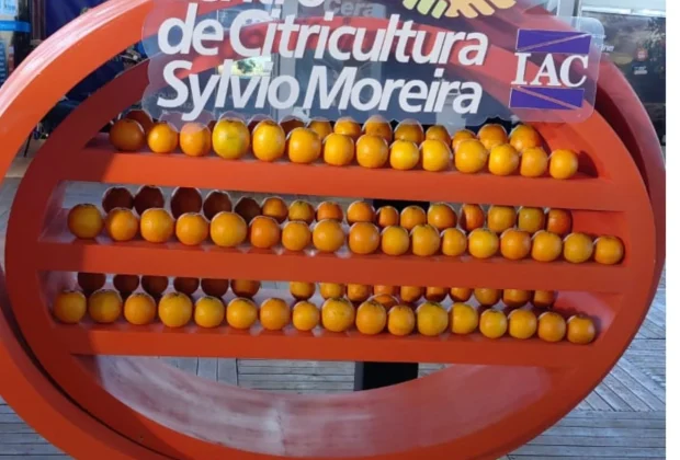 ENGENHEIRO COELHO PARTICIPA DE EVENTO NACIONAL QUE REÚNE ESPECIALISTAS DA CITRICULTURA