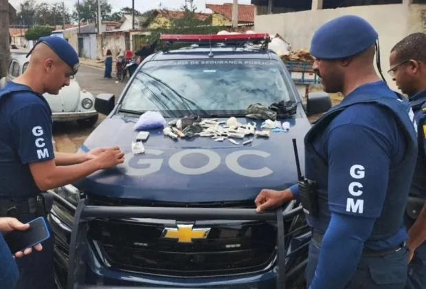 Cadela farejadora da GCM localiza drogas escondidas perto de veículos em Mogi Guaçu