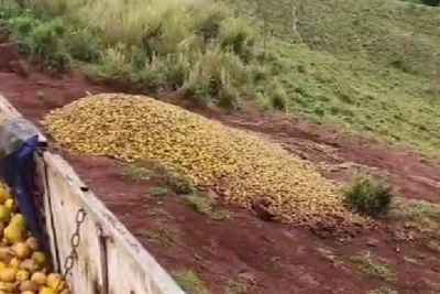 Denúncia interrompe descarte irregular de resíduos em área rural de Engenheiro Coelho