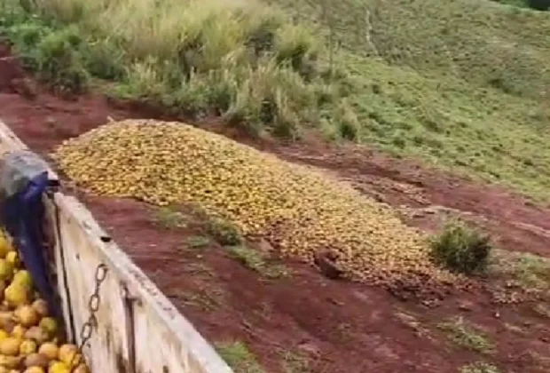 Denúncia interrompe descarte irregular de resíduos em área rural de Engenheiro Coelho