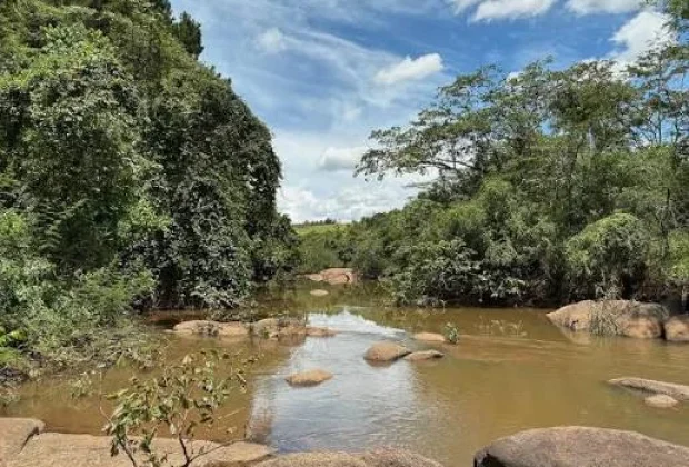 Pedreira promove mutirão de limpeza e plantio de árvores às margens do Rio Jaguari