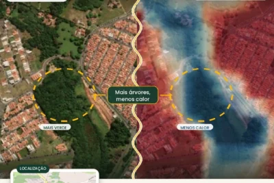 Mapa inédita revela cobertura arbórea expressiva em Jaguariúna