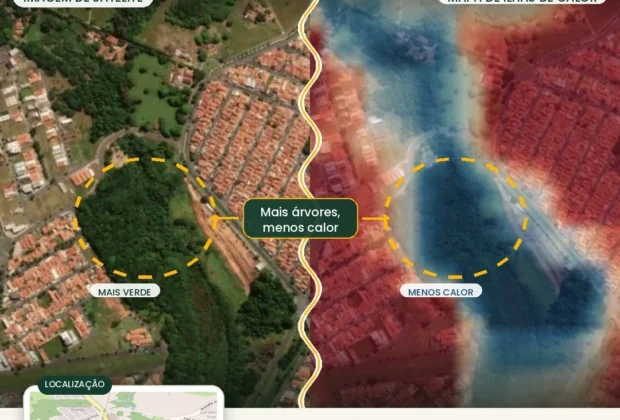 Mapa inédita revela cobertura arbórea expressiva em Jaguariúna