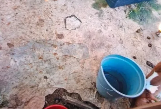 GCM atende denúncia sobre condições de cão em Holambra