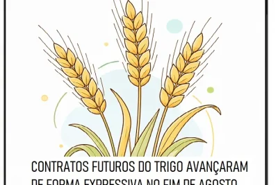 TRIGO/CEPEA