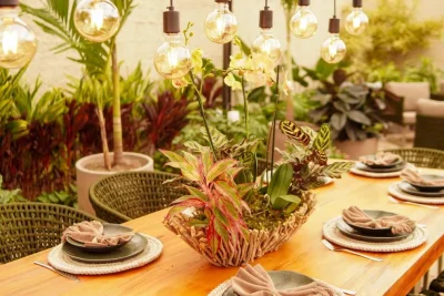 Expoflora 2026 apresenta 18 ambientes que unem paisagismo, bem-estar e convivência 