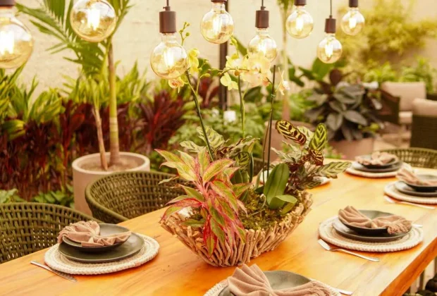 Expoflora 2026 apresenta 18 ambientes que unem paisagismo, bem-estar e convivência 
