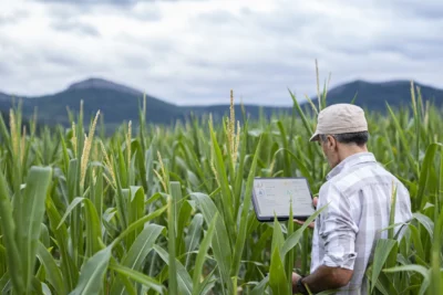 Por que integrar informações virou um desafio para o agro?