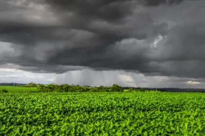 Faesp alerta produtores para risco de tempestades em São Paulo