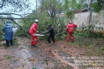Fortes chuvas provocam alagamentos, quedas de árvores e transtornos em cidades da região