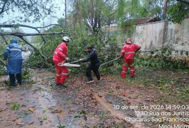 Fortes chuvas provocam alagamentos, quedas de árvores e transtornos em cidades da região