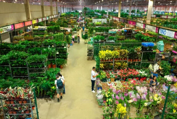 Ceaflor realiza 1ª Expo Garden e 5º Congresso de Paisagismo em Jaguariúna