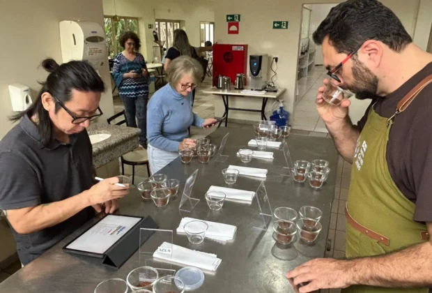 Concurso Estadual Qualidade do Café de São Paulo bate recordes de inscritos e municípios participantes em 2026