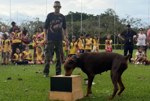 Cães policiais demonstram habilidades para crianças no Aventuri em Engenheiro Coelho