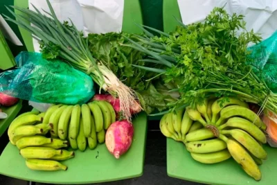 CATI inicia 6ª fase do Programa de Aquisição de Alimentos paulista