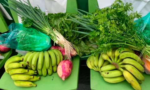 CATI inicia 6ª fase do Programa de Aquisição de Alimentos paulista