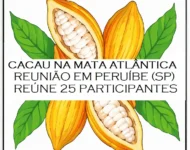 CACAU NA MATA ATLÂNTICA
